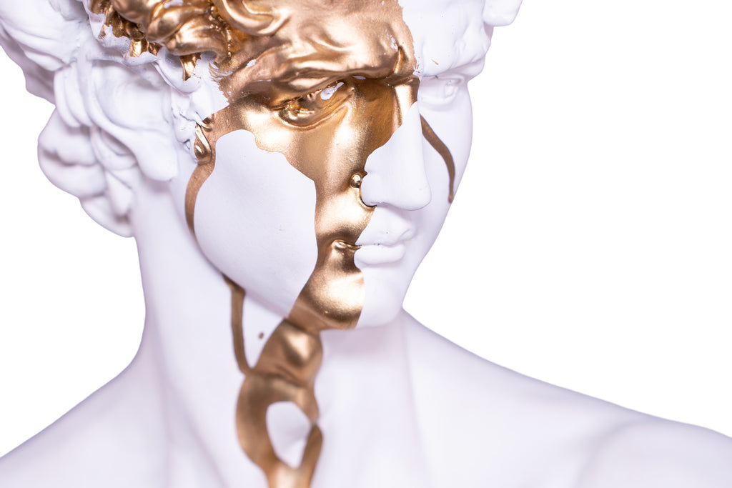The Renaissance icon 'David"