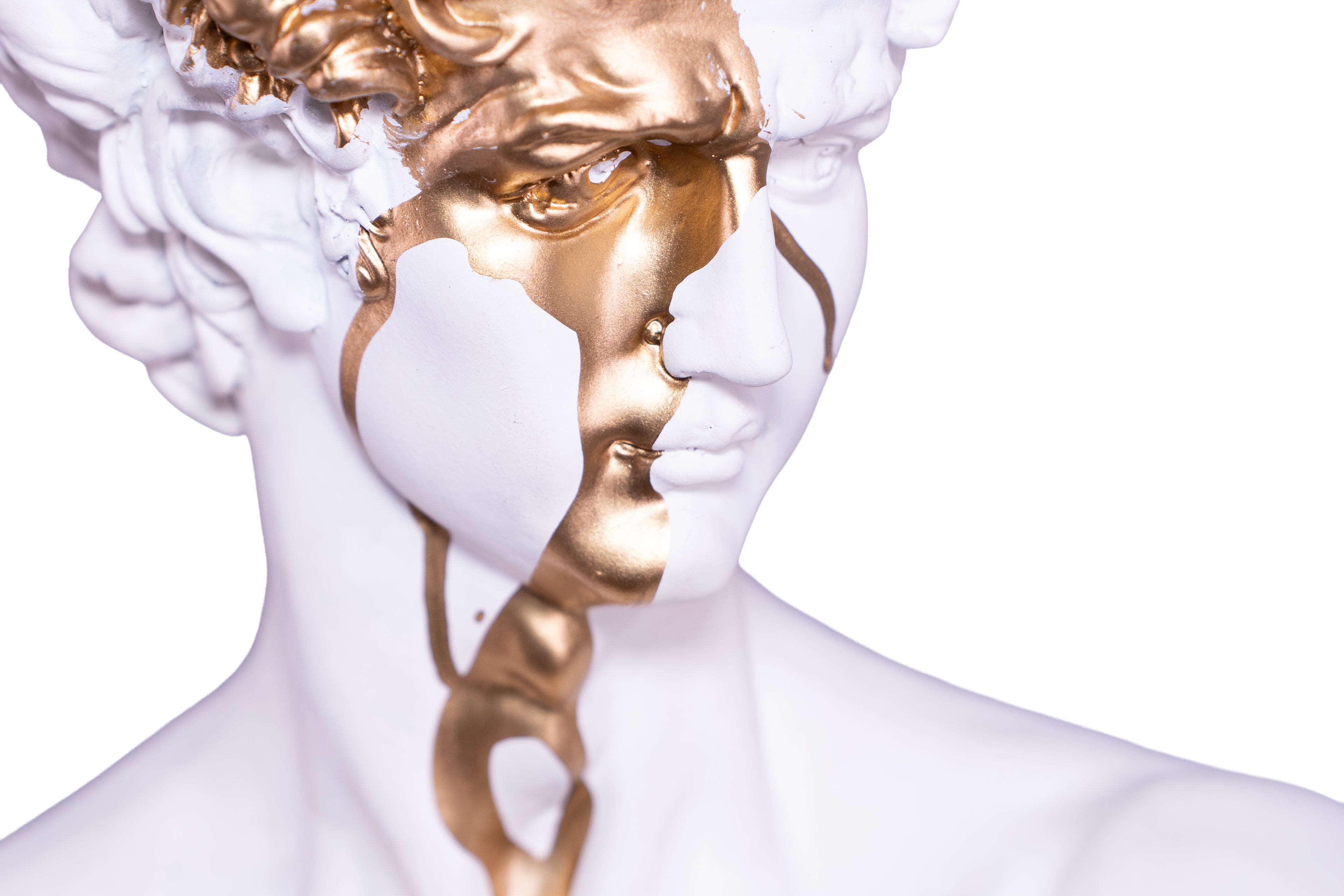 The Renaissance icon 'David"