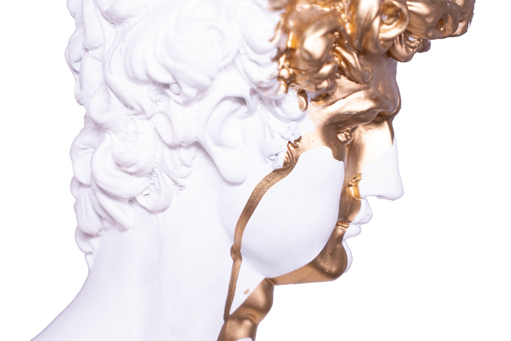 The Renaissance icon 'David"