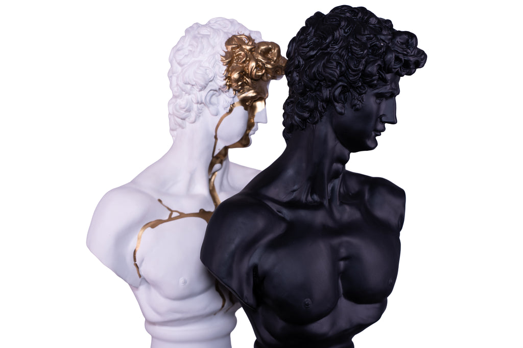 The Renaissance icon 'David"