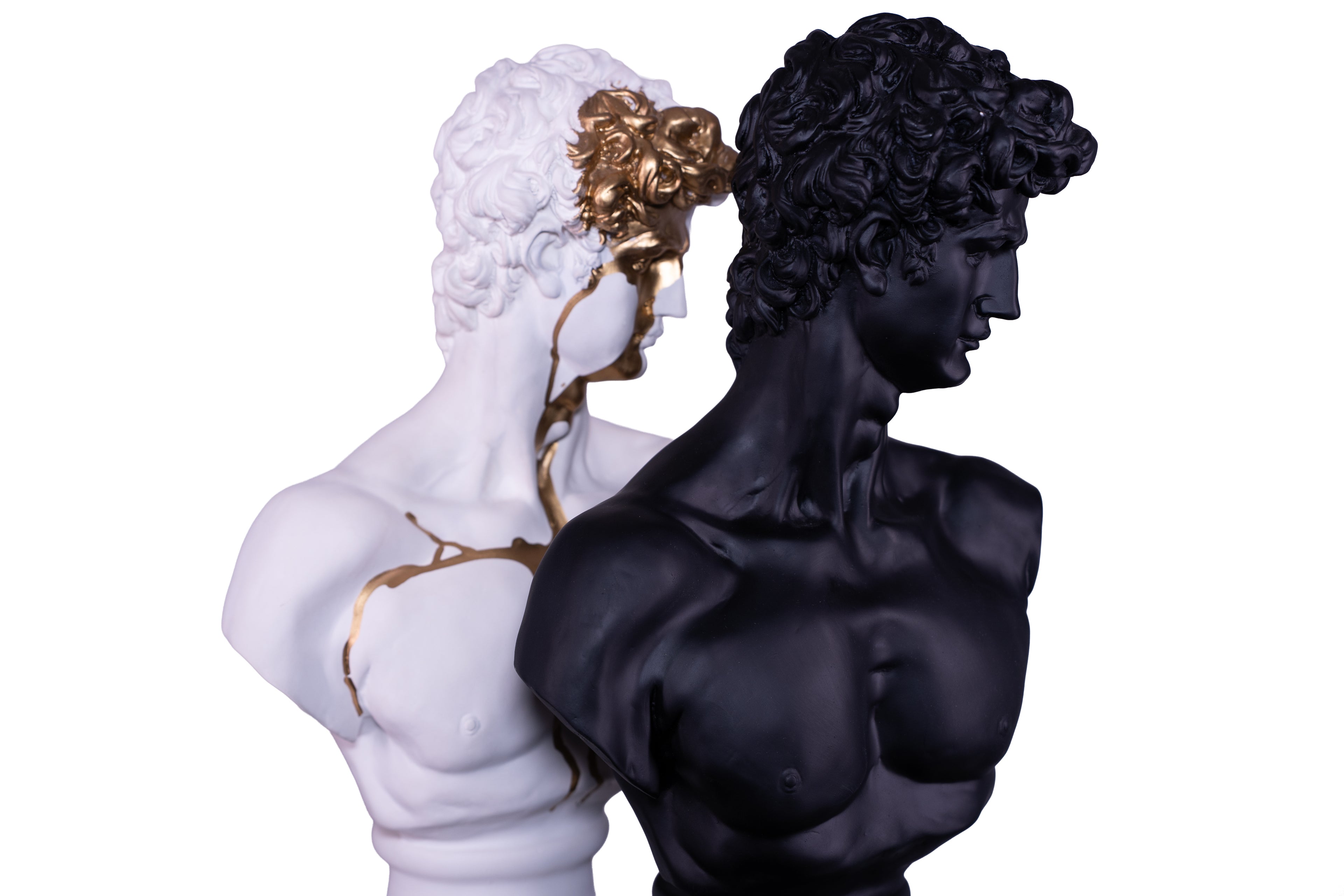 The Renaissance icon 'David"