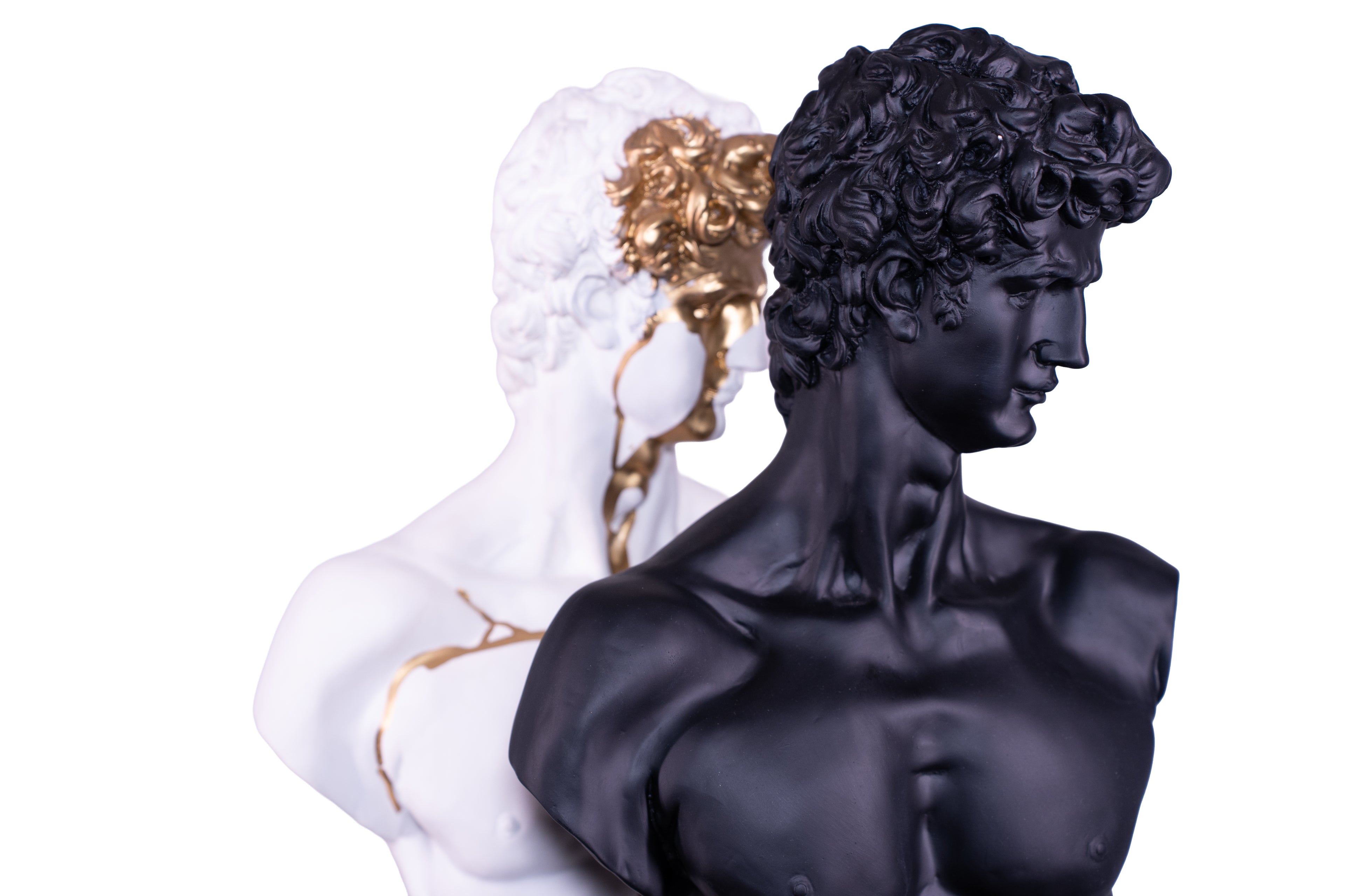 The Renaissance icon 'David"