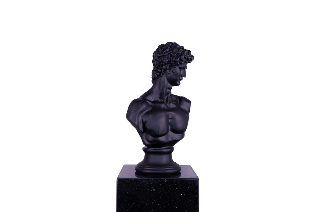 The Renaissance icon 'David"