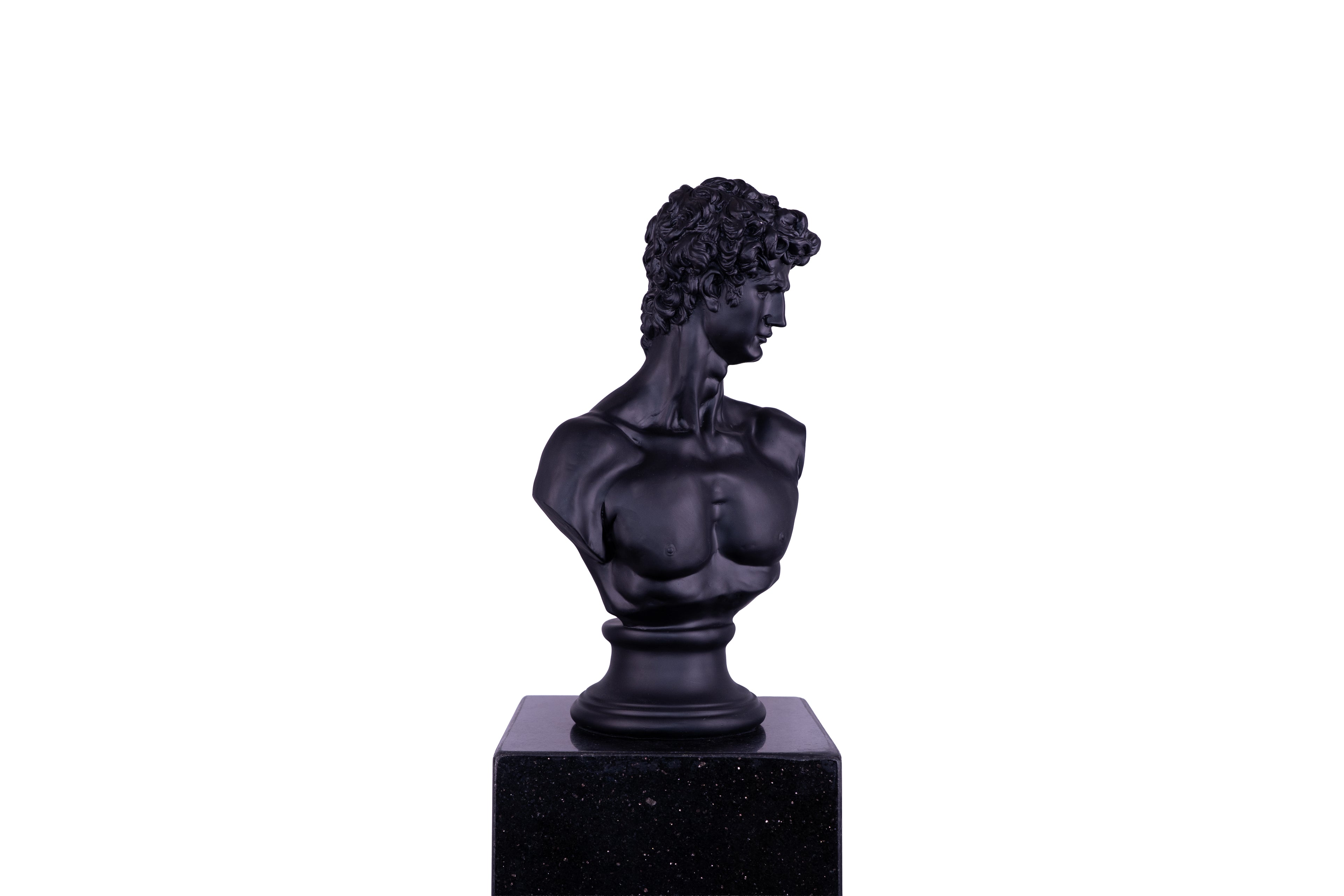 The Renaissance icon 'David"