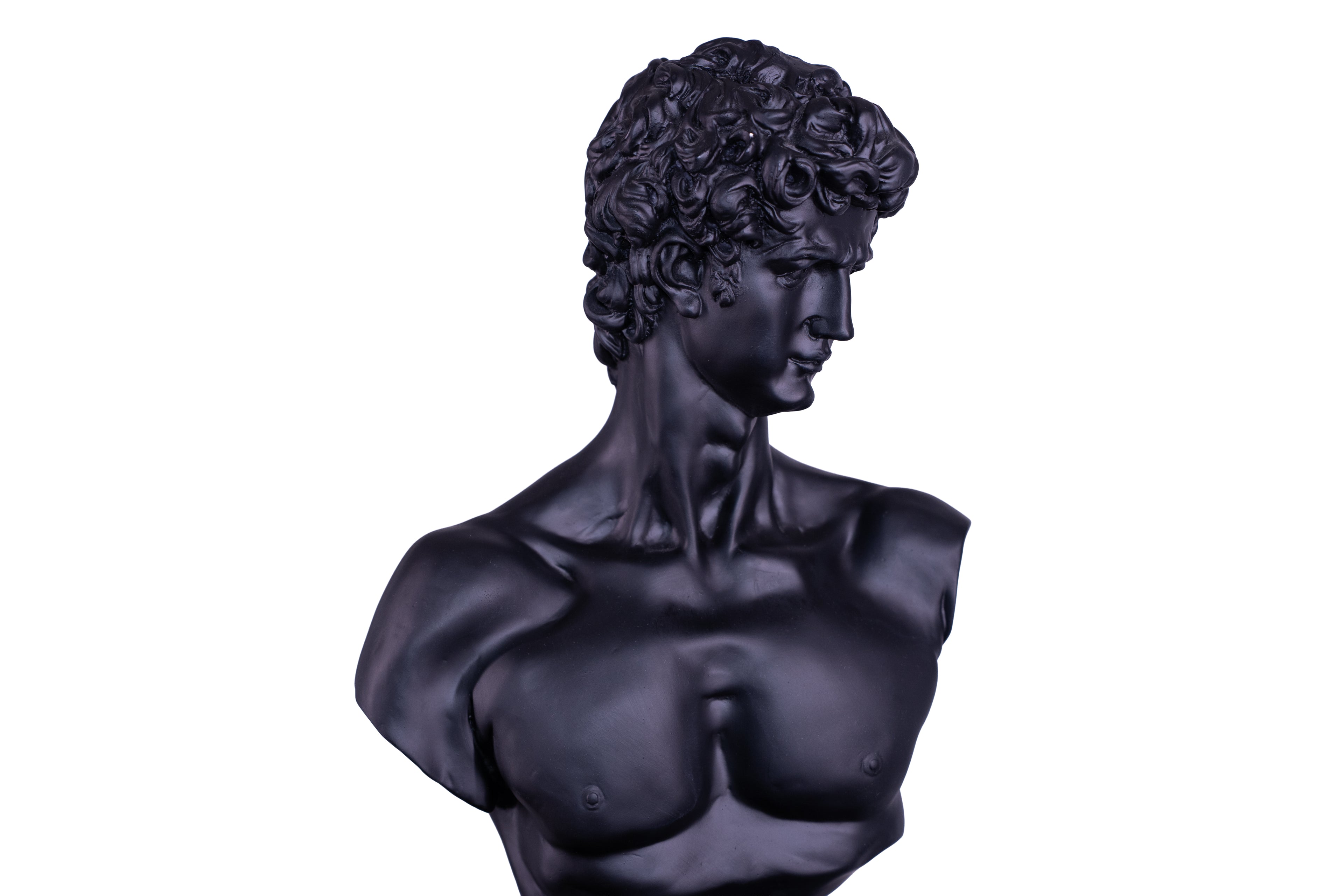 The Renaissance icon 'David"