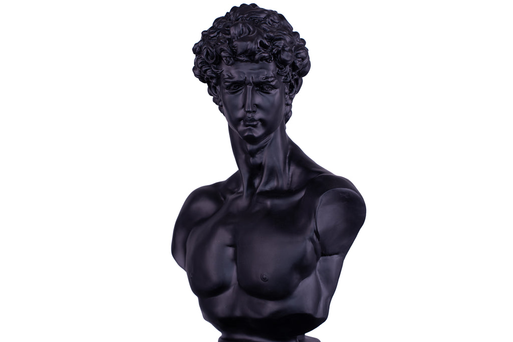 The Renaissance icon 'David"