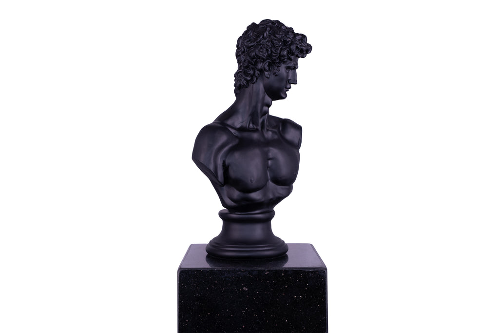 The Renaissance icon 'David"