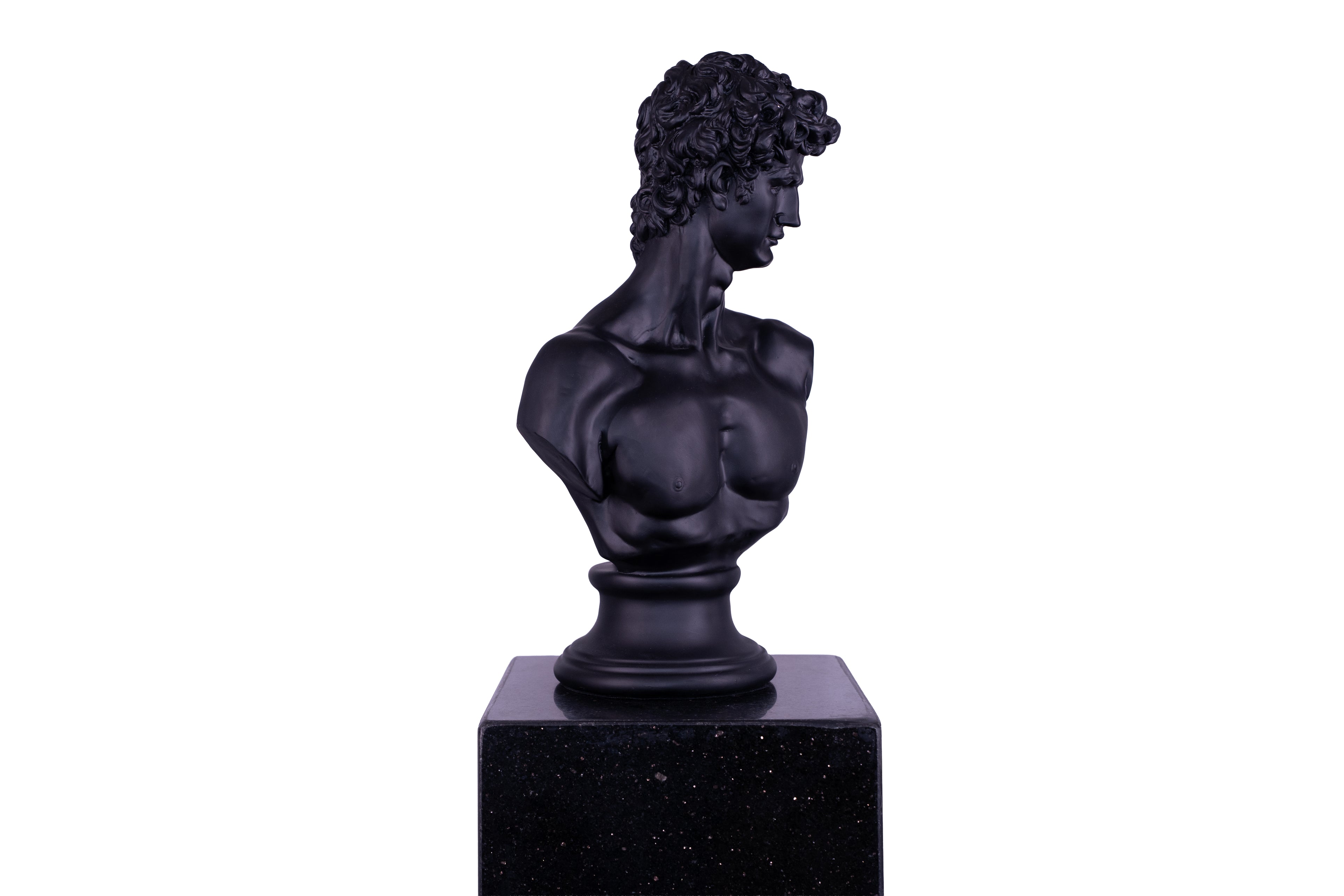 The Renaissance icon 'David"