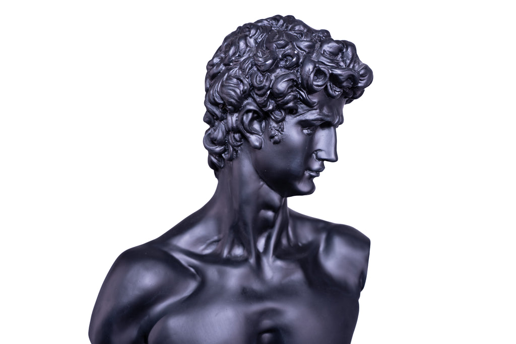 The Renaissance icon 'David"
