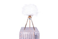 Aether Tripod