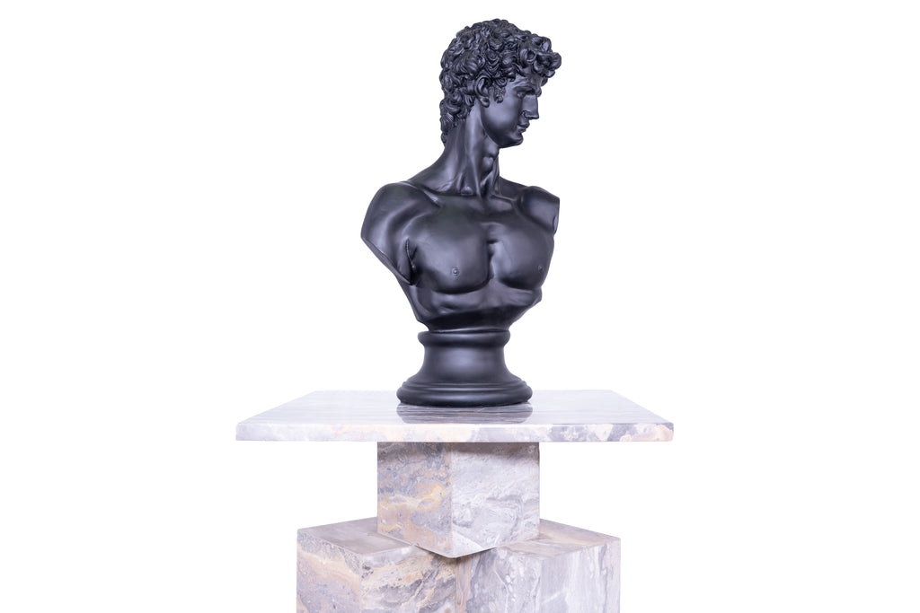 The Renaissance icon 'David"