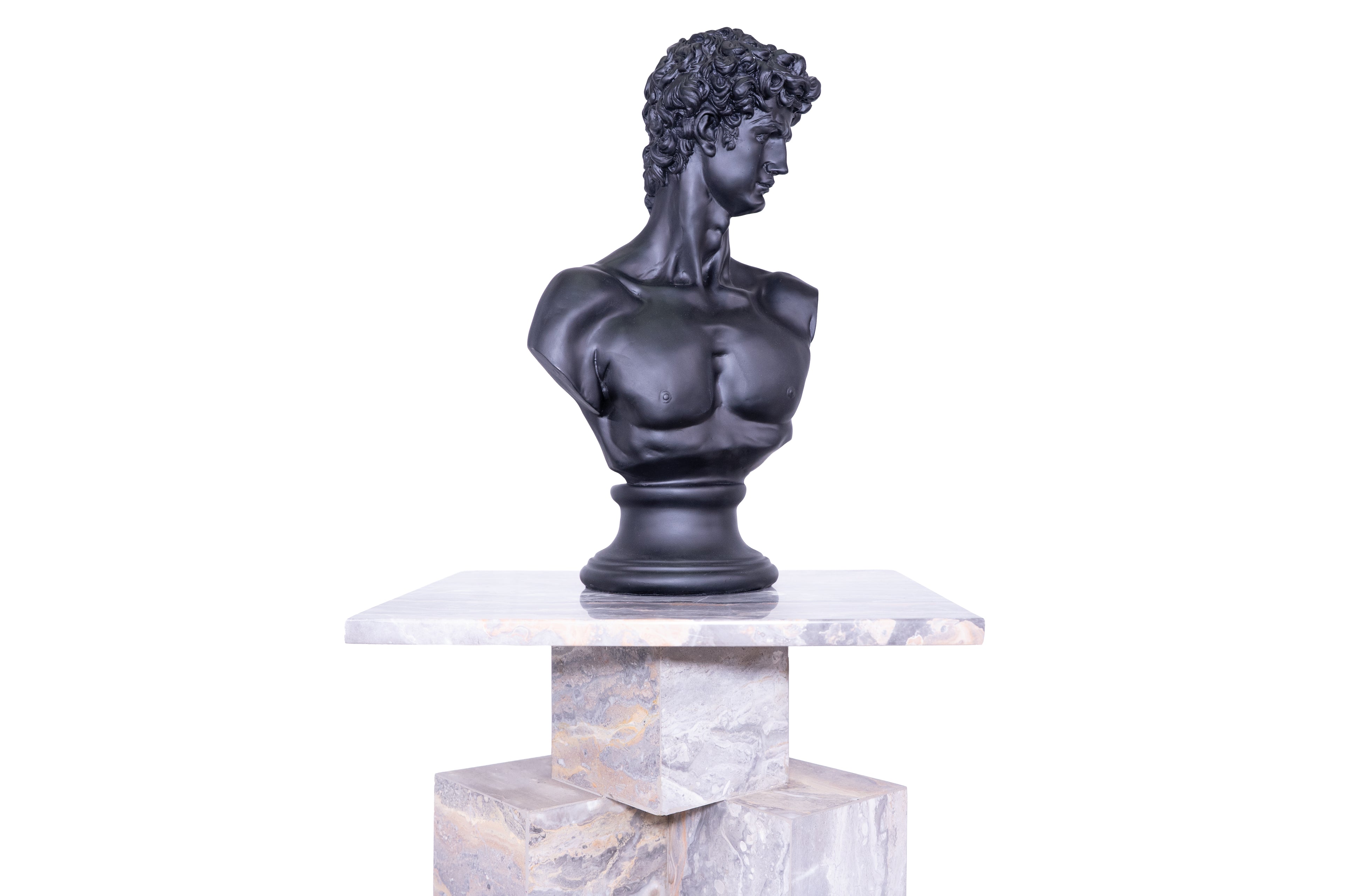 The Renaissance icon 'David"